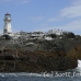 lighthouse_island_seal_machias_h_2261_can1379.jpg